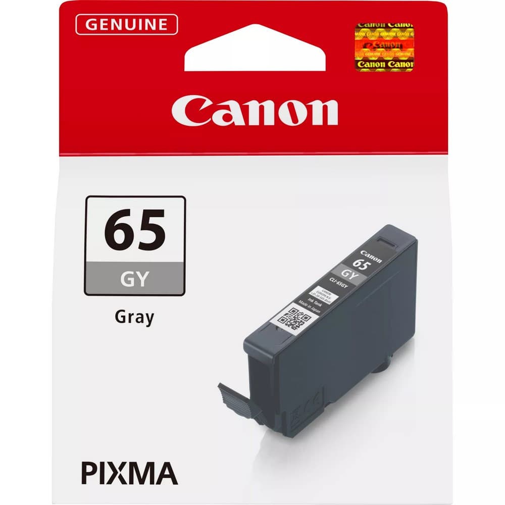 Cartouche d'encre Canon 65 Gris